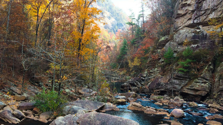 5 Incredible Places to Visit in Georgia if You Love the Outdoors 