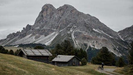 Embrace the Healing Power of the Dolomites at FORESTIS