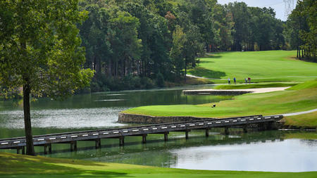 How Beginner Golfers Can Elevate Their Game on Luxurious Greens