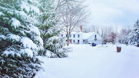 A Guide to Outdoor Decor for Different Seasons