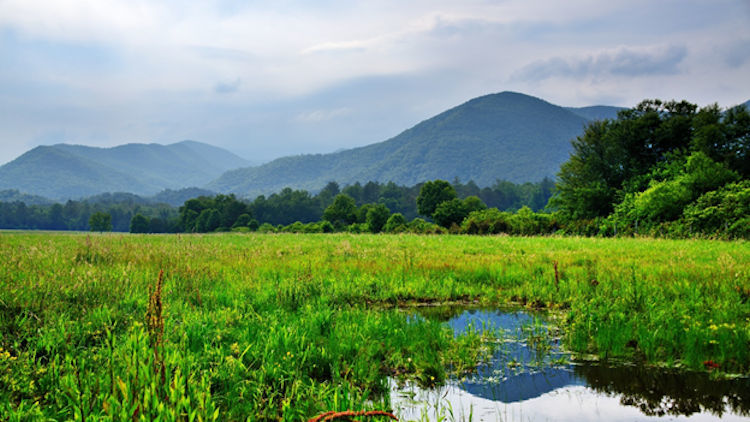 What to Know (and Do) Before Taking Your Family to the Mountains