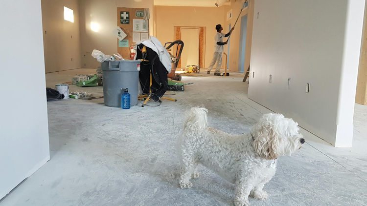 Making Time for Home Upgrades When You Travel Often