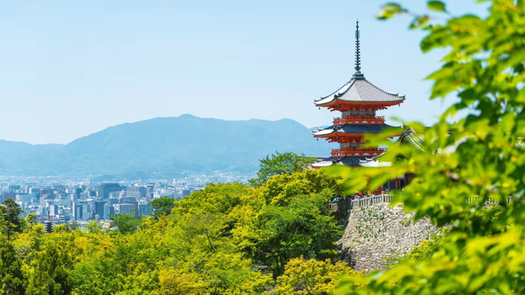 TCS World Travel Launches First-Ever Private Jet Expedition Across Japan