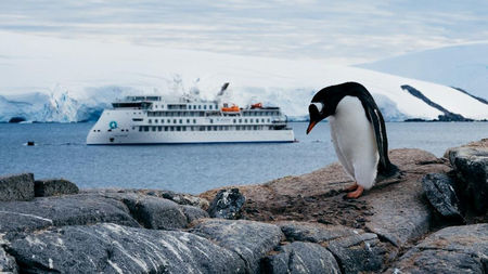 Aurora Expeditions Launches Antarctica 2027–28 Season Featuring 34 Voyages