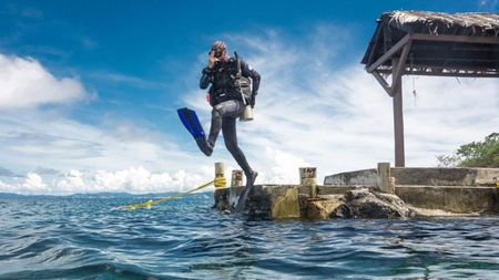 Liveaboard Trips with Spirit of Maldives: A Complete Guide to an Unmatched Ocean Journey