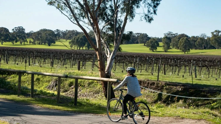 Cycling Meets Luxury in the Barossa Valley: Stay Close to the Santos Tour Down Under