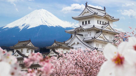 Best Winter Tours To Japan For 2026