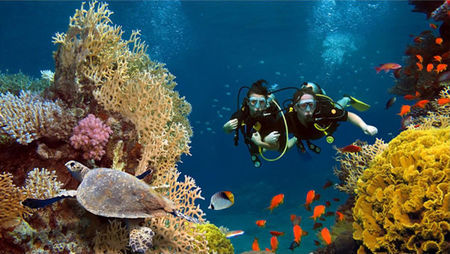 5 Top Luxury Experiences In Australia