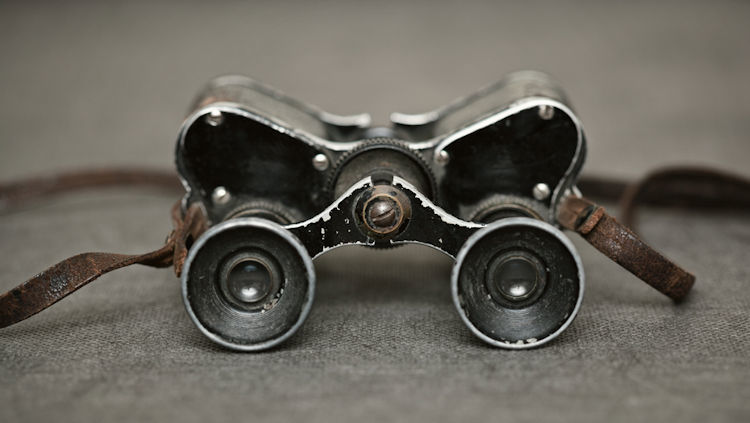 Militaria Collection Guide: Rare World War II Collectibles Worth Buying