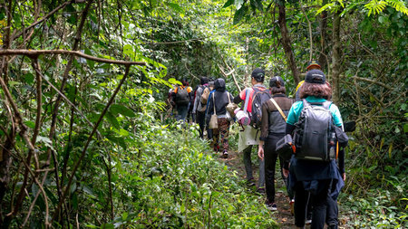 The Ultimate Luxury: Protecting Your Agility on Trekking Holidays