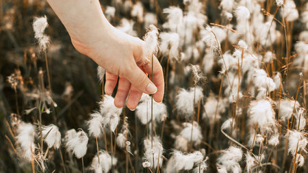 The Natural Fibers: Time-Tested Excellence