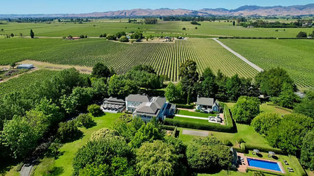 A Taste of Marlborough: More Than Just a Sip of Wine