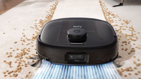 Robot Vacuum Pet Hair Maintenance - Brush, Filter, and Bin Checks