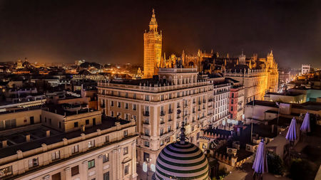 Seville, Served with Insight: A Chef-Led Wine and Tapas Experience Worth Travelling For