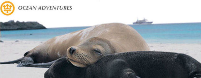 Escape on a Galapagos Family Adventure with OceanAdventures