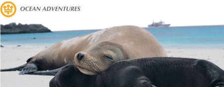 Escape on a Galapagos Family Adventure with OceanAdventures
