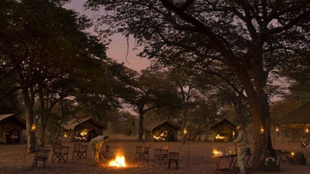 New Luxury Safari Camp Opens in Botswana's Moremi Game Reserve