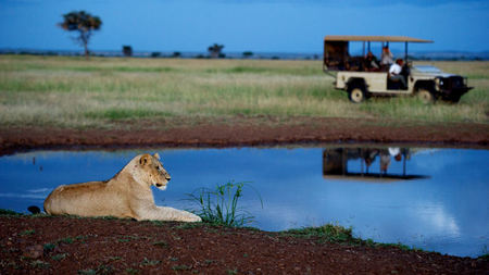 Singita Launches Exclusive Serengeti House in Tanzania