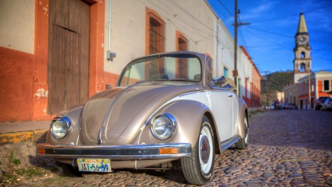 Mexico: When Beetles Meet Butterflies