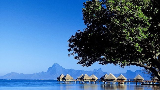 Air Tahiti Nui Offers Biggest Deal of the Year