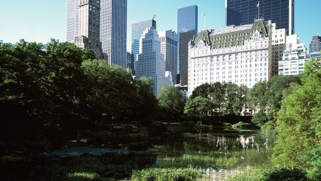 Celebrate the OscarsÂ® at The Plaza Hotel