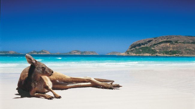 Western Australia’s Sunny Capital on Offer to Americans