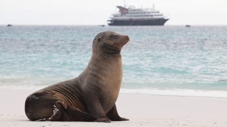 Silversea Launches $199 Air Offer for Galapagos Expedition Cruises