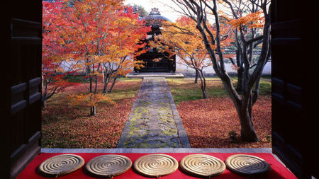 Experience Fall Foliage Season at The Ritz-Carlton, Kyoto
