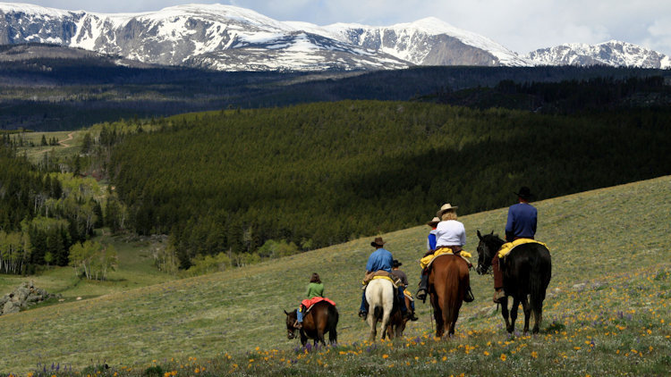 An to Paradise Ranch, Buffalo