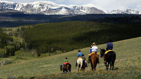 An Escape to Paradise Guest Ranch, Buffalo Wyoming