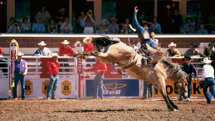 The Calgary Stampede - Where the World Meets the West