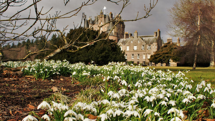 14th Century Royal Castle Goes Digital 