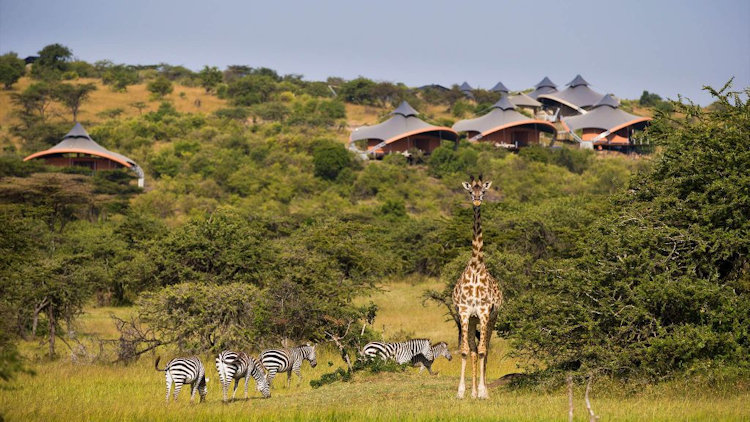 Virgin Limited Edition’s Mahali Mzuri re-opens to International Travelers 