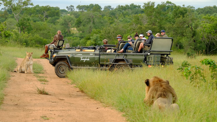 Immersed in the Wild at Saseka Tented Camp in South Africa