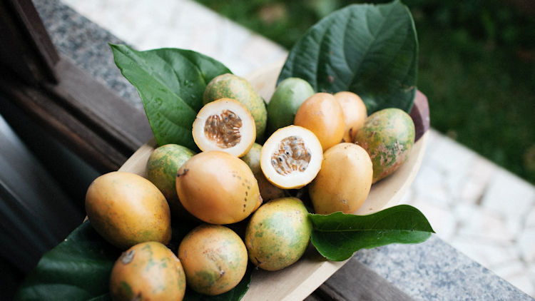 Tropical Fruit Trees You Can See While Traveling Throughout Asia