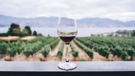 Okanagan Valley: The Unsung Wine Region That’s Worth The Journey