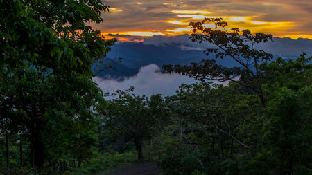 Sleep in a Luxury Rainforest Lodge & Walk Through the Clouds on this Costa Rica Trip