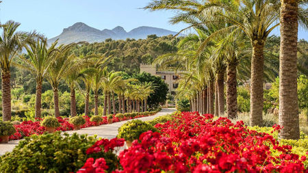 Mallorca's Castell Son Claret: Where Distance Comes Naturally