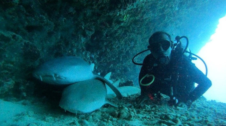 3 Secret Dive Spots Near Four Seasons Kuda Huraa, Maldives