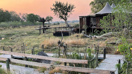 Xigera Safari Lodge: Opulence and Artistry Deep in the Okavango Delta of Botswana