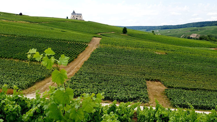 Emily in Paris: Champagne vineyards from the series that you can cycle through in real life