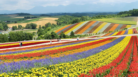 A Visit to Hokkaido, Japan: Beautiful by Nature