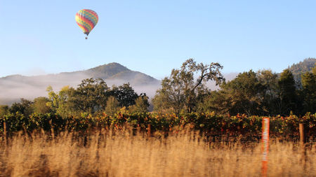 A Wine Lover's Guide to Napa Valley's Finest Vineyards & Experiences