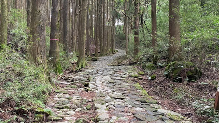 Ancient Trails, Modern Tales: Traversing Kanagawa reveals paths from long ago and comforts of today