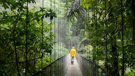 Discover the Best Time to Travel to Costa Rica & Experience its Enriching Microclimates
