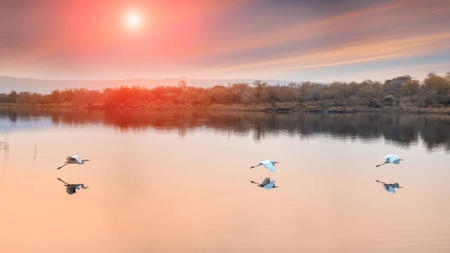 10 Things You Need To Do On A Botswana Holiday