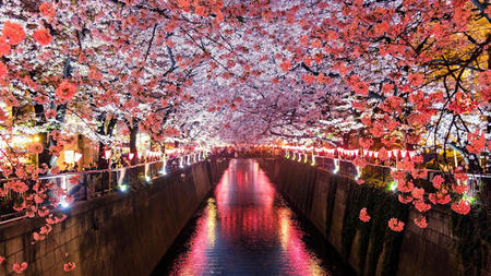 Discover the Ultimate Luxury Travel Destinations for 2024