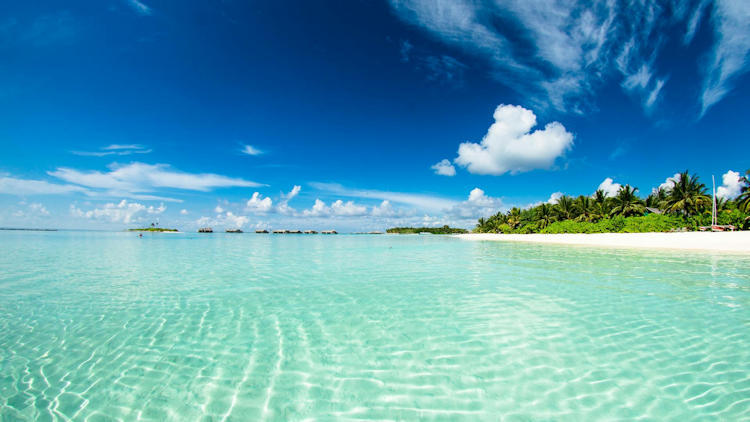 Beach Escapes Dominate 2024 Honeymoon Hotspots 