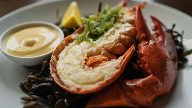 Lobster Isn’t Just a Dish. It’s a Destination.