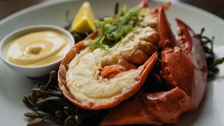 Lobster Isn’t Just a Dish. It’s a Destination.